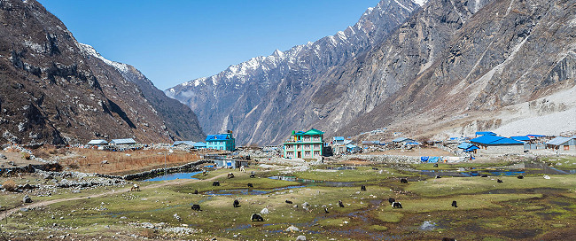 Gosainkunda Helambu Trek: Cost, Itinerary, Permits & Difficulty