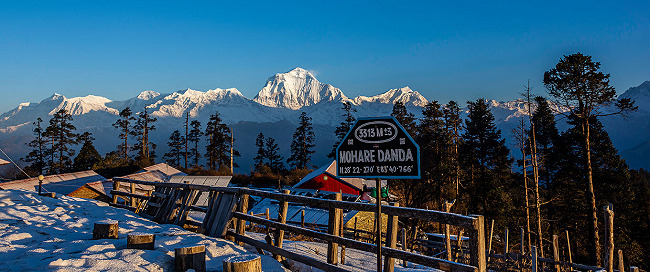Mohare Danda Trek Distance: Full 2026 Guide, Km & Days