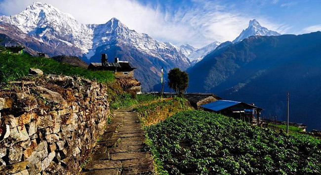 Annapurna Region Trekking Packages 2026–2027: Best Treks for Every Budget