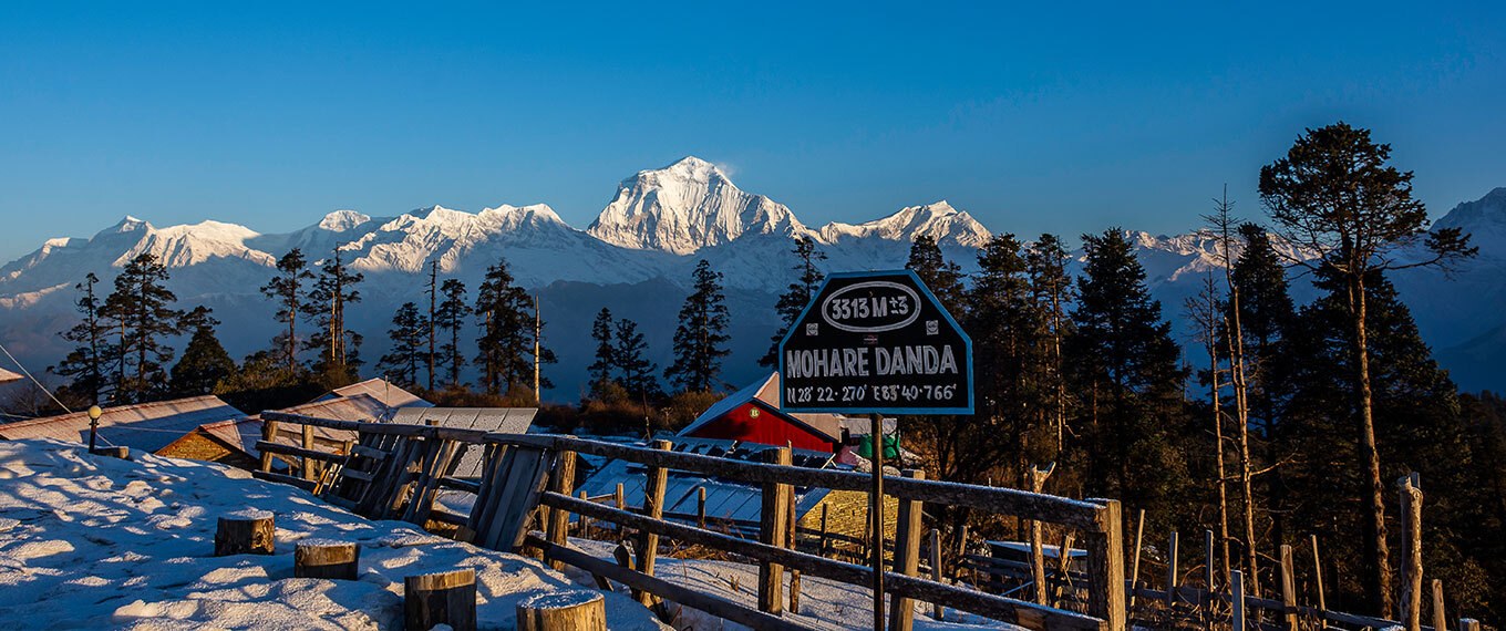 Mohare Danda Trek Distance: Full 2026 Guide, Km & Days